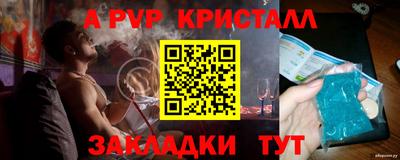 шишки Изобильный