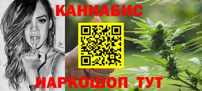 шишки Изобильный