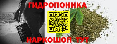 шишки Изобильный