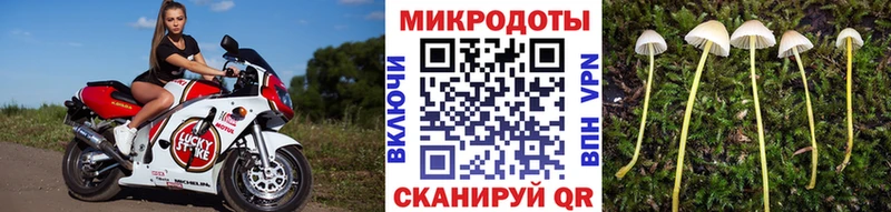 Галлюциногенные грибы мицелий  Старая Русса 