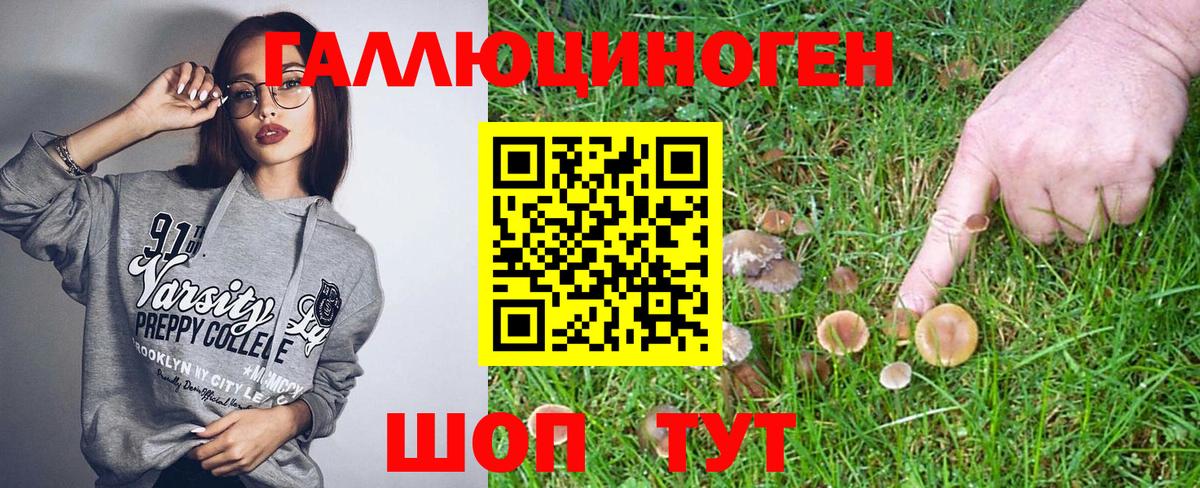 Галлюциногенные грибы мухоморы  Галлюциногенные грибы мухоморы  Вход с VPN  Старая Русса 