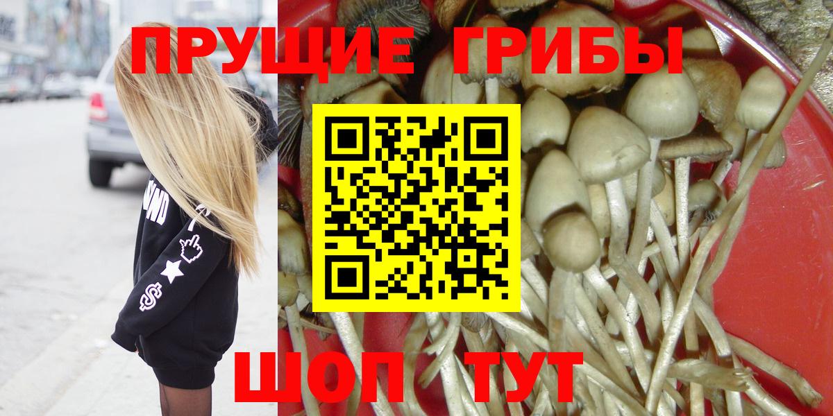 Галлюциногенные грибы прущие грибы Старая Русса